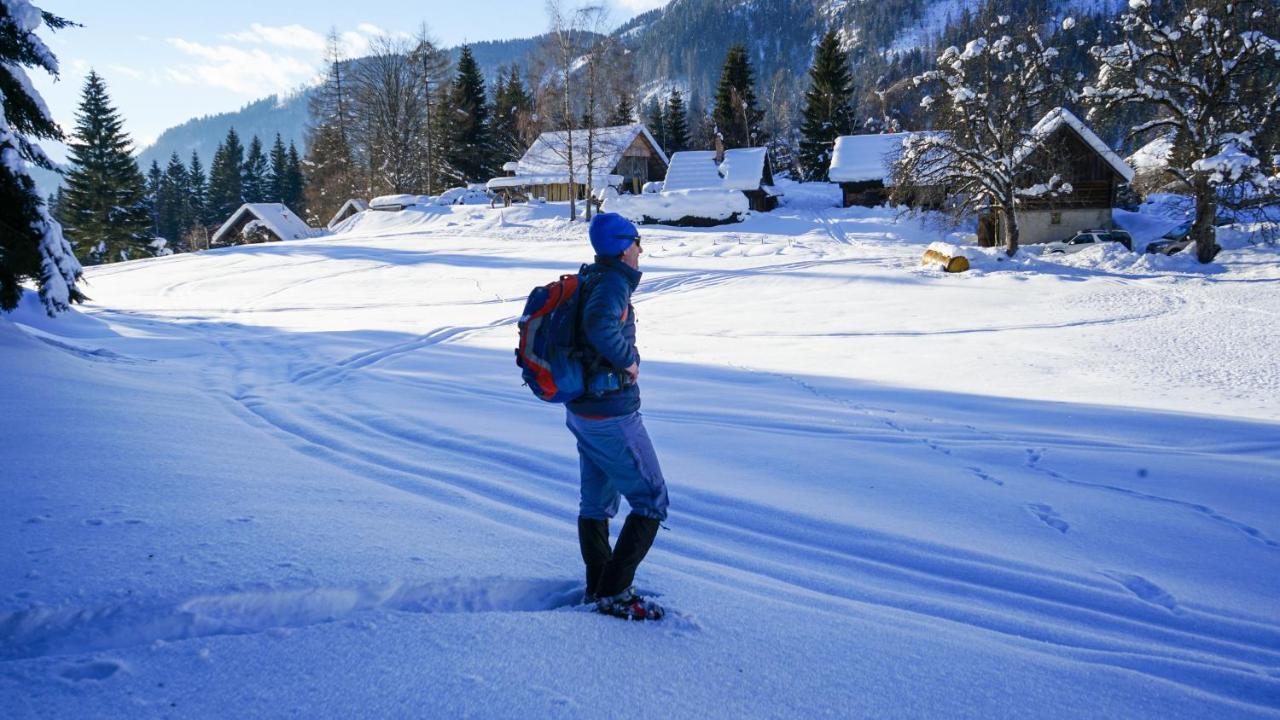 Chalet Hike&Bike Above Bohinj Valley Esterno foto