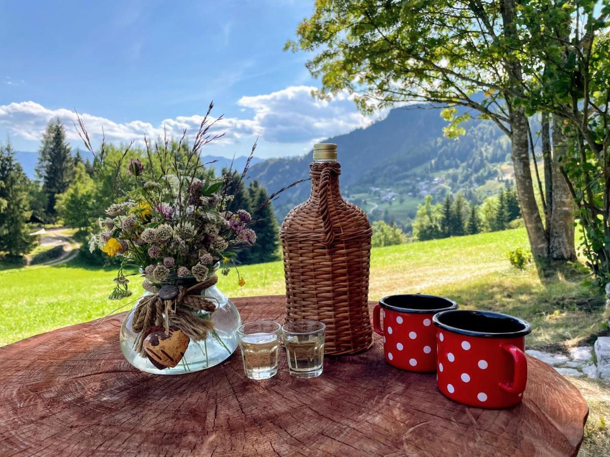 Chalet Hike&Bike Above Bohinj Valley Esterno foto